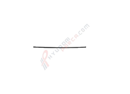TAVAN ÇITASI SOL ACCENT  00-05 87251-25000-HMC
